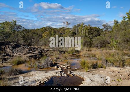 Le sorgenti termali di Talaroo producono acqua a circa 60°C che si riversa nelle piscine prima di scaricarsi nel sistema fluviale di Einasleigh nel Queensland tropicale. Foto Stock