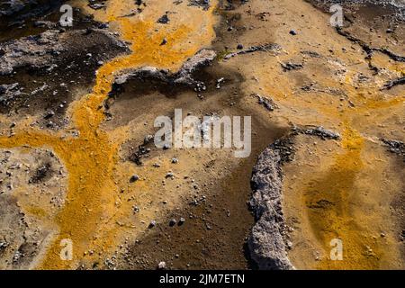 Le sorgenti termali di Talaroo producono acqua a circa 60°C che si riversa nelle piscine prima di scaricarsi nel sistema fluviale di Einasleigh nel Queensland tropicale. Foto Stock