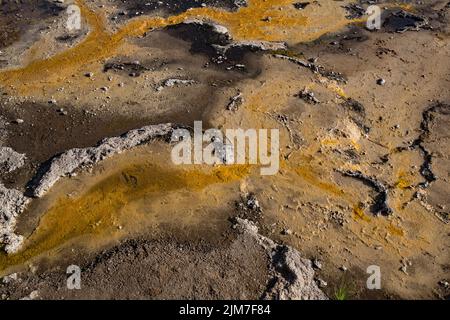 Le sorgenti termali di Talaroo producono acqua a circa 60°C che si riversa nelle piscine prima di scaricarsi nel sistema fluviale di Einasleigh nel Queensland tropicale. Foto Stock