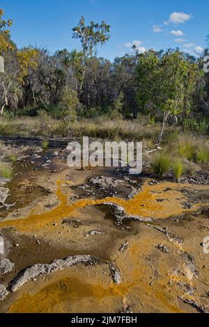 Le sorgenti termali di Talaroo producono acqua a circa 60°C che si riversa nelle piscine prima di scaricarsi nel sistema fluviale di Einasleigh nel Queensland tropicale. Foto Stock