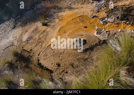 Le sorgenti termali di Talaroo producono acqua a circa 60°C che si riversa nelle piscine prima di scaricarsi nel sistema fluviale di Einasleigh nel Queensland tropicale. Foto Stock