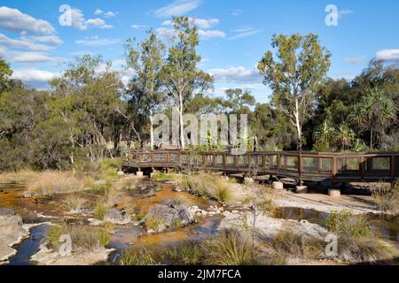 Le sorgenti termali di Talaroo producono acqua a circa 60°C che si riversa nelle piscine prima di scaricarsi nel sistema fluviale di Einasleigh nel Queensland tropicale. Foto Stock