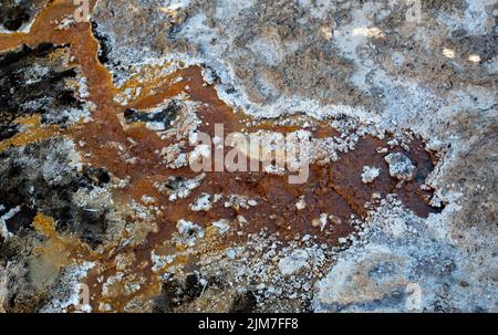 Le sorgenti termali di Talaroo producono acqua a circa 60°C che si riversa nelle piscine prima di scaricarsi nel sistema fluviale di Einasleigh nel Queensland tropicale. Foto Stock