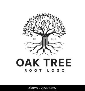 Quercia Family Tree of Life logo design Creeper radice albero, vettore, simbolo, modello Illustrazione Vettoriale