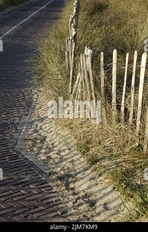 Via in mattoni rossi, erba marram e recinzione in legno nelle dune del Mare del Nord al crepuscolo (verticale), Zandvoort, Olanda del Nord, Paesi Bassi Foto Stock