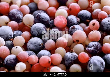 Bacche congelate di varietà ribes fondo. Primo piano Foto Stock