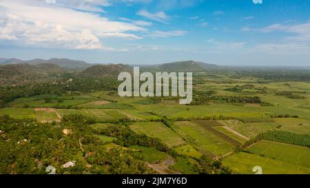 Drone aereo di terreno agricolo con piante verdi nella zona rurale. Sri Lanka. Foto Stock