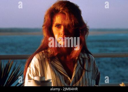 JULIA ROBERTS NEL SONNO CON IL NEMICO (1991), diretto da JOSEPH RUBEN. Credit: 20th CENTURY FOX / Album Foto Stock
