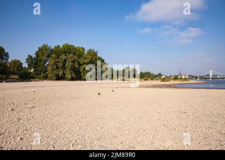 Basso livello delle acque del fiume Reno, 30 luglio 2022, rive del fiume Reno nel distretto di Rodenkirchen, Colonia, Germania. Niedrigwasser des Rheins, Foto Stock