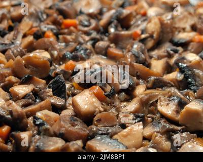 Alimento del fungo Foto Stock