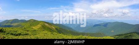 vista panoramica sulla valle del crinale di chornohora. paesaggio mozzafiato dei monti carpazi su una foresta luminosa in estate. colline boscose e erbose Foto Stock