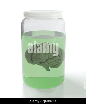 Cervello in vaso con liquido Foto Stock