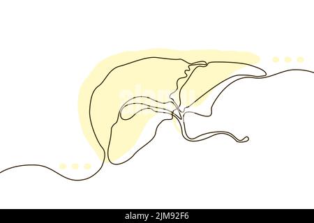 Fegato disegno a mano icona linea continua e silhouette piatta gialla. Organi umani. Medicina concetto trendy un disegno di linea singola. Contorno semplice Illustrazione Vettoriale