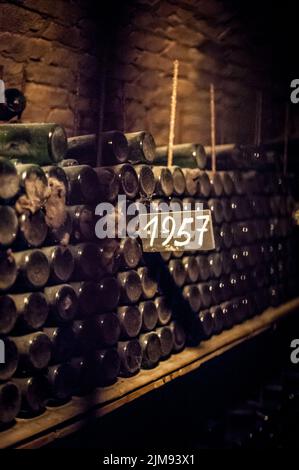 Bottiglie di vino vecchie e polverose Foto Stock