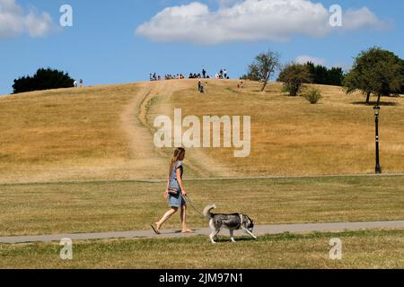 Primrose Hill, Londra, Regno Unito. 5th ago 2022. UK Meteo: Avvertimenti di siccità, scenario asciutto su Primrose Hill, Londra. Credit: Matthew Chattle/Alamy Live News Foto Stock