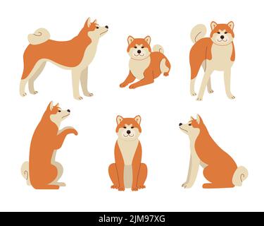 Carino fumetto shiba inu in diverse pose vettore illustrazioni set. Personaggio del cartone animato del cane in piedi, seduto, simbolo di 2018 isolato su sfondo bianco Illustrazione Vettoriale