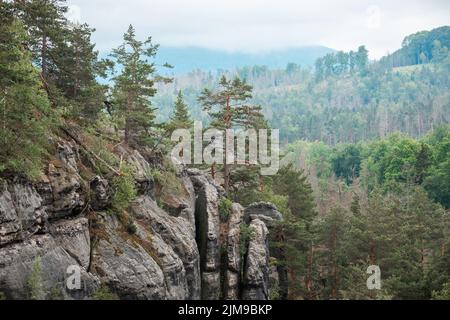 Formazioni rocciose di arenaria nel Parco Nazionale della Svizzera Boema, Repubblica Ceca Foto Stock