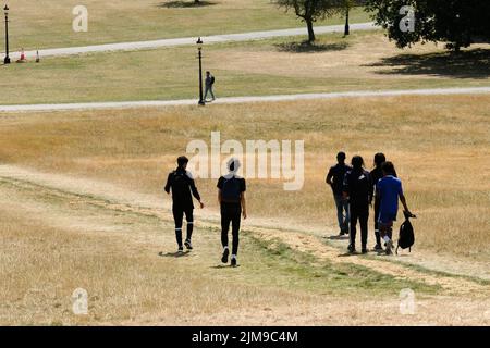 Primrose Hill, Londra, Regno Unito. 5th ago 2022. UK Meteo: Avvertimenti di siccità, scenario asciutto su Primrose Hill, Londra. Credit: Matthew Chattle/Alamy Live News Foto Stock