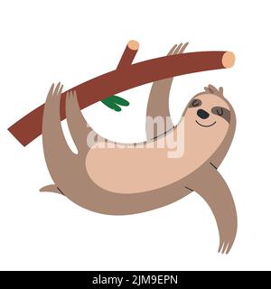 Cute sloth appeso su un ramo di albero, divertente illustrazione sorridente dei mammiferi tropicali, clipart vettoriali isolato su sfondo bianco Illustrazione Vettoriale