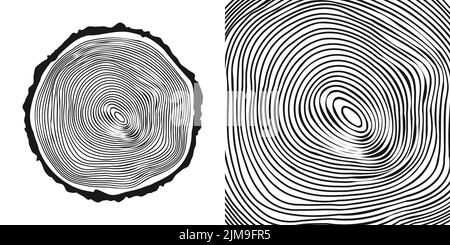 Tronco di albero rotondo tagliato, segato pino o fetta di quercia. Legname tagliato da poco, legno. Tessitura di legno con anelli di albero. Schizzo disegnato a mano. Illustrazione vettoriale Illustrazione Vettoriale