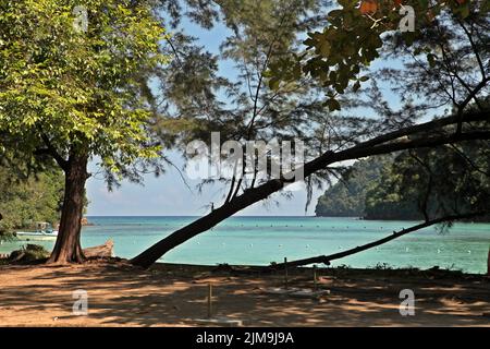 Vista di una spiaggia su Pulau Sapi (Isola Sapi), una parte del Parco Tunku Abdul Rahman a Sabah, Malesia. Foto Stock