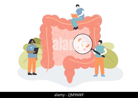 Squadra di medici minuscoli che controllano l'intestino per l'infiammazione. Persone che esaminano intestini o colon, apparato digerente illustrazione vettoriale piatta. Salute, medico Illustrazione Vettoriale