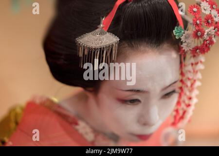 Giapponese Maiko o geisha in rosso kimono coifed capelli spilla con motivi di bianco e rosso fiori di susina Foto Stock