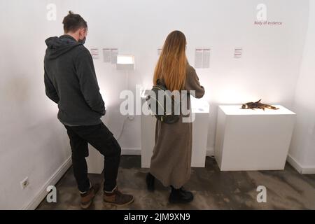 Museo delle relazioni infrante: Visitatori che guardano la collezione. Zagabria, Croazia Foto Stock