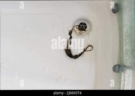 Capelli lunghi tirati fuori dal drenaggio bloccato della doccia Foto Stock