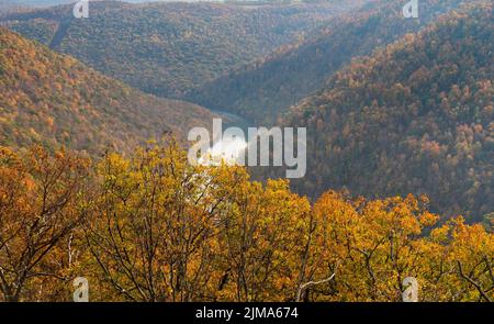 Piattaforma panoramica presso la Coopers Rock state Forest, West Virginia Foto Stock