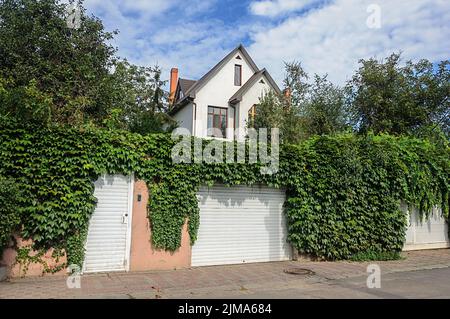 Piccola casa residenziale bianca a due piani, recinzione con luppolo Foto Stock