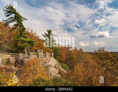 Piattaforma panoramica presso la Coopers Rock state Forest, West Virginia Foto Stock