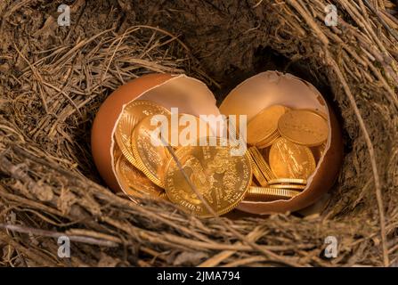 Monete d'oro puro in guscio d'uovo che illustrano l'uovo di nido Foto Stock