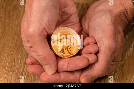 Monete d'oro puro in guscio d'uovo che illustrano l'uovo di nido Foto Stock