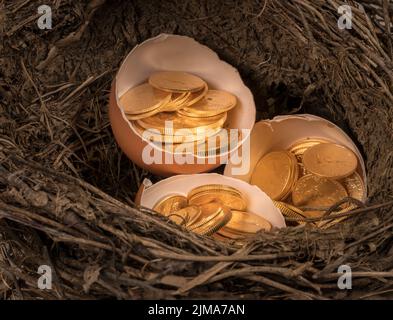 Monete d'oro puro in guscio d'uovo che illustrano l'uovo di nido Foto Stock