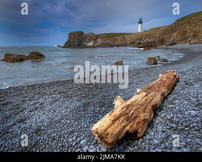 Spiaggia rocciosa con legno di driftwood da Yaquina Capo Faro a Oregen Foto Stock