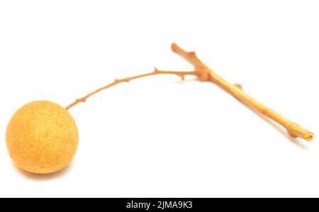 Longan Foto Stock