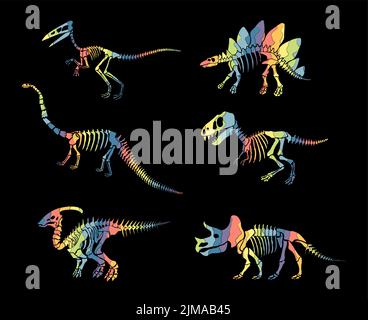 Set vettoriale con scheletro di dinosauro arcobaleno isolato su sfondo nero. Illustrazione Vettoriale