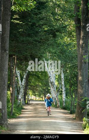 Gangwon-do, Corea del Sud - 13 giugno 2016 : una donna non identificata che guida un ciclo di Nami Island in Corea del Sud Foto Stock