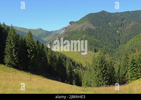 La valle di Chocholowska vista da Jamy Glade, Tatra occidentale, Polonia Foto Stock