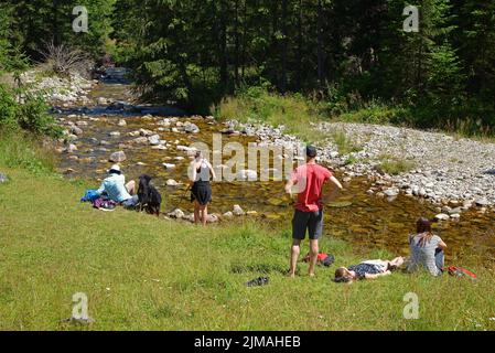 Pomeriggio estivo al ruscello nella valle di Chocholowska. Tatra Occidentale, Polonia. Foto Stock