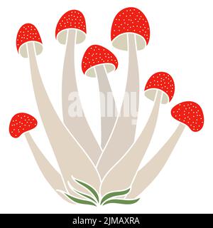 Set di funghi velenosi vettore semplice illustrazione isolato su sfondo bianco. Versione colorata. Micologia vettoriale. Fungo naturale sano, autunno Illustrazione Vettoriale