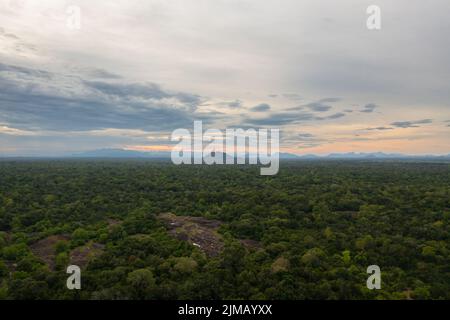 Tramonto nella foresta tropicale dello Sri Lanka. Foto Stock