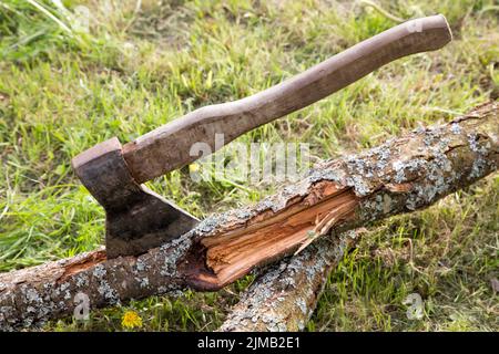 La vecchia ascia è bloccata in un albero su uno sfondo di erba Foto Stock