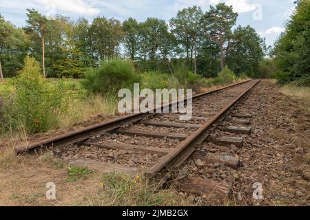 Vecchia linea ferroviaria Borkense corso nei Paesi Bassi Foto Stock