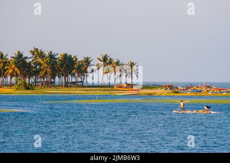 Pescatori che peschano al canale di Chennai Buckingham con gli alberi di palma sullo sfondo Foto Stock
