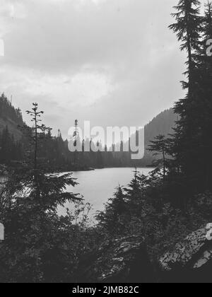 Un'immagine verticale in scala di grigi di paesaggi naturali con un lago circondato da foreste e colline Foto Stock