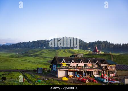 Cavalli sul prato in Gulmarg, Jammu e Kashmir, India. Foto Stock