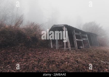 Spooky sfondo scuro con vista sulla foresta con la vecchia casa Foto Stock