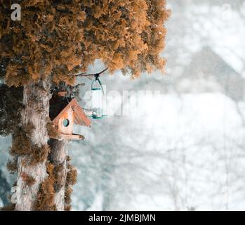 Scena invernale con neve e uccelli. Tranquilla e pacifica nevoso inverno foto della casa di passeri in birdhouse. Foto Stock